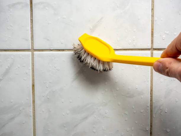 Best Emergency Mold Removal  in Keaau, HI