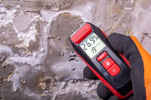 Best Local Mold Removal Service  in Keaau, HI