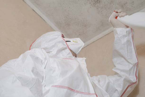 Best Mold Removal Specialists  in Keaau, HI